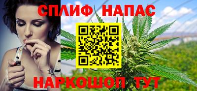 ешки Сланцы