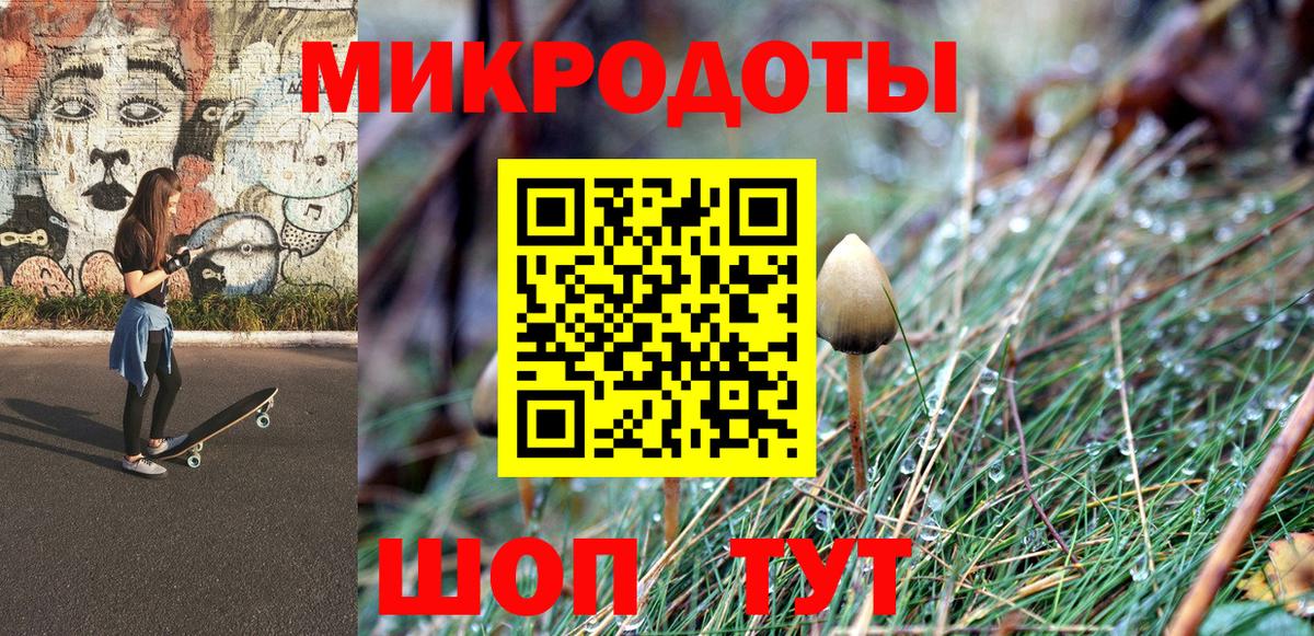 Галлюциногенные грибы Psilocybe Орехово-Зуево