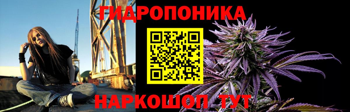 Орехово-Зуево  Бошки марихуана сатива  Шишки марихуана White Widow  Канабис планчик  Вход с VPN 